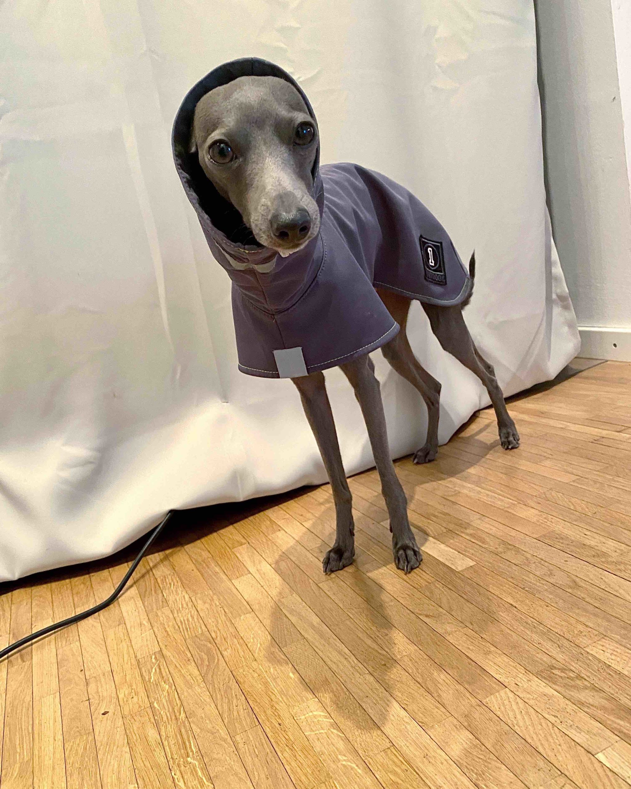 sleek italian greyhound clothes Lightweight Four-Leg Fleece Inner